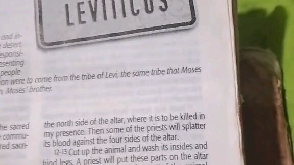 Daily Verse         Leviticus 1:10-13
