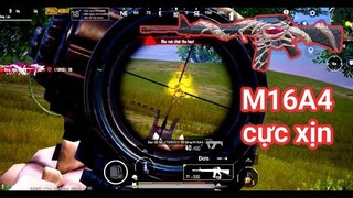 PUBG Mobile - Review M16A4 Nâng Cấp Với Hiệu Ứng Đỉnh Cao | Xử Lý Team Indo Hổ Báo Cực IQ