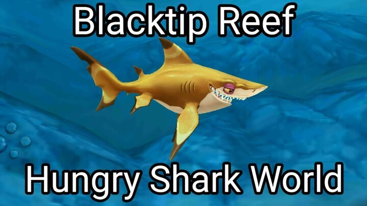 Hungry Shark World (Blacktip Reef) #BstationGamers #bestofbest