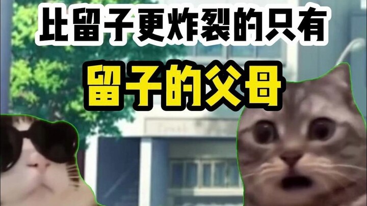 【Meme Kucing】Yang Lebih Gila dari Hiruko Hanya Orang Tua Hiruko!