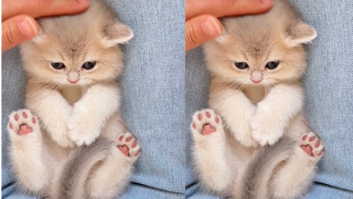 Failed to lull them to sleep today—thanks to your requests, here’s the unedited, original engine sou