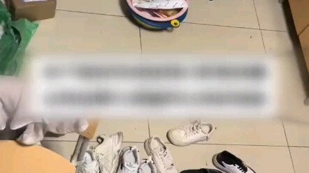 Seekor tikus muncul di asrama, dan para mahasiswa dengan cepat menemukan seekor kucing untuk menangk