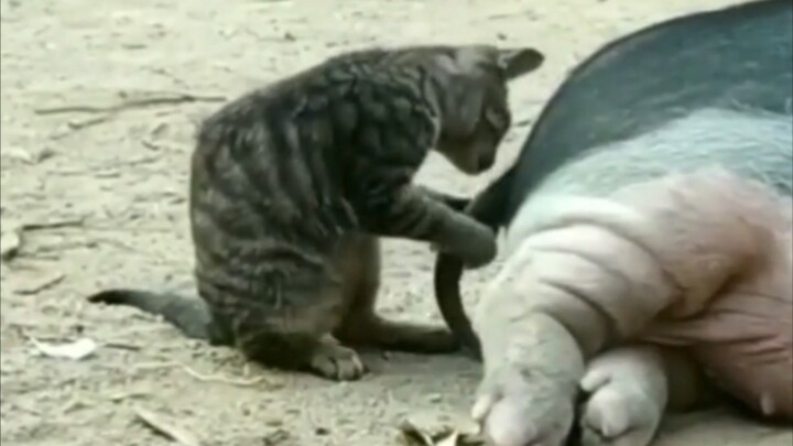 Don't move—just let me take one bite!