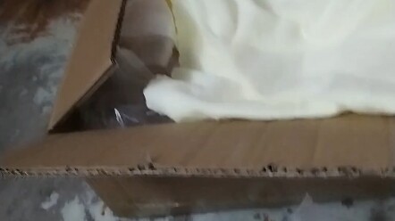 Sialan, sumpah deh, mulai sekarang aku nggak bakal beli boneka Nahida lagi