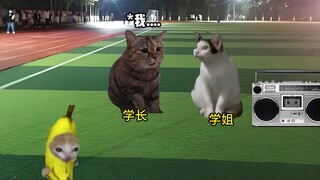 เมื่อคุณผ่านสนามเด็กเล่นของโรงเรียนในตอนกลางคืน