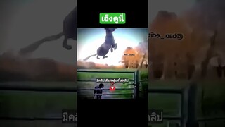 เอ็งดูนี่