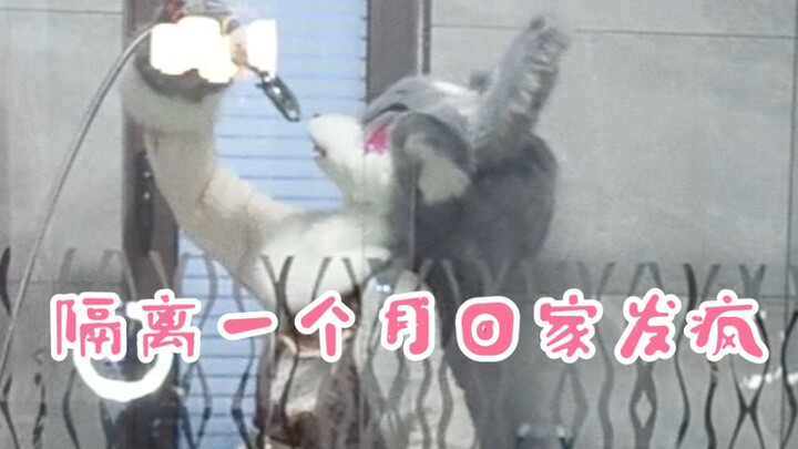 Sau một tháng làm tình nguyện viên, trạng thái tinh thần khi tôi về nhà…