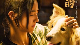 张子枫+王景春！2025狗狗催泪电影《我会好好的》预告，03.22上映