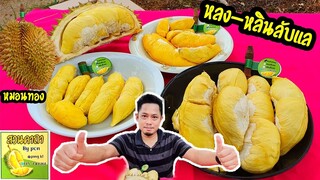 พิสูจน์ความอร่อยทุเรียนหลง-หลินลับแล หมอนทอง ทุเรียนพันธ์ุไหนอร่อยกว่ากัน??