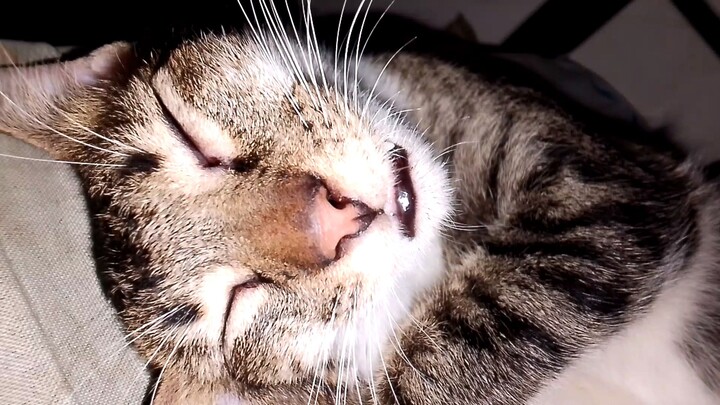 Mingoi♥️