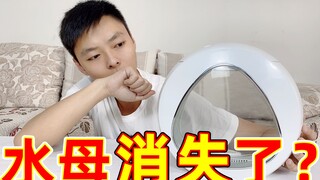 Diễn biến tiếp theo về sứa: Sau nửa tháng nuôi, hóa ra có hai con sứa biển lại bí ẩn biến mất?