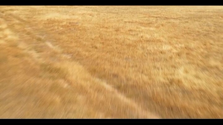 Ape Vs. Mecha Ape Full Movie Tagalog Dubbed Part1