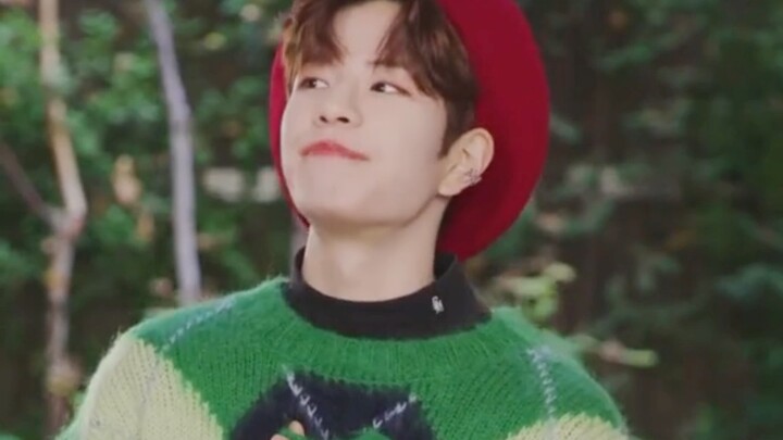 Video cuộc đời chú chó đáng yêu nhất vũ trụ tuyển tập tiktok