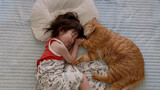Kittens taking a nap with princess-When princess awakes
