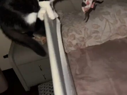 ฉันจะบ้าตายอยู่แล้ว กลางดึกขนาดนี้เลยเหรอ?