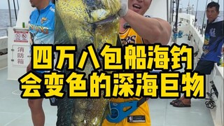 จ่าย 48,000 นั่งเรือเช่าออกไปตกปลาในทะเล ไม่คาดคิดว่าจะได้ปลาตัวยักษ์มาจริงๆ ดูสิ ทริปนี้จะทำกำไรได้