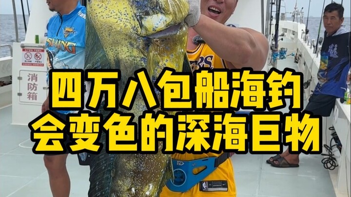 จ่าย 48,000 นั่งเรือเช่าออกไปตกปลาในทะเล ไม่คาดคิดว่าจะได้ปลาตัวยักษ์มาจริงๆ ดูสิ ทริปนี้จะทำกำไรได้