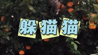 لم يتم التحديث اليوم، فلنستمتع بمشاهدة أفلام القطط!