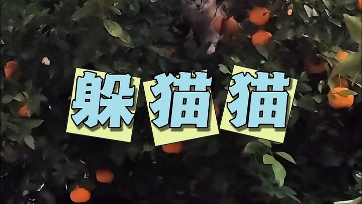 Hari ini tidak ada pembaruan, ayo kita nonton film kucing saja.