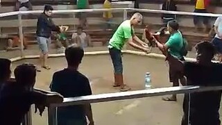 December 25 pangatlo laban🐓