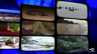 Station Id TVRI Kalimantan Selatan