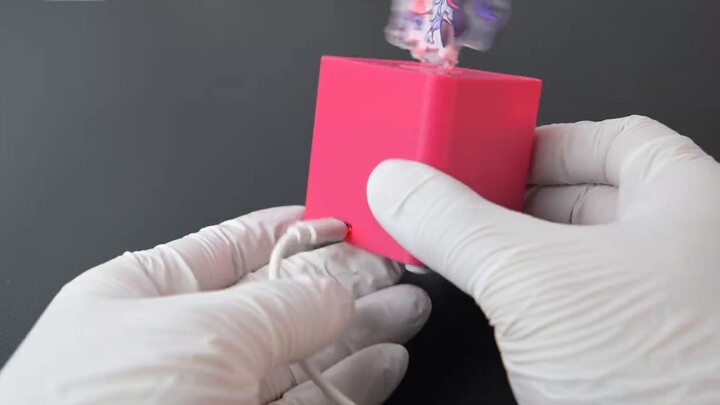 Ride on my beloved Bai Xuemian