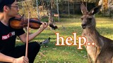 Fun|Play Violin For Kangaroos