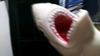 يُقترح تغييره إلى: قذر     سمك القرش    الذراع