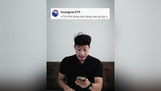 Mèo của anh Tiến Pet đây nha cả nhà LearnOnTikTok petonesaigon tuitienpet