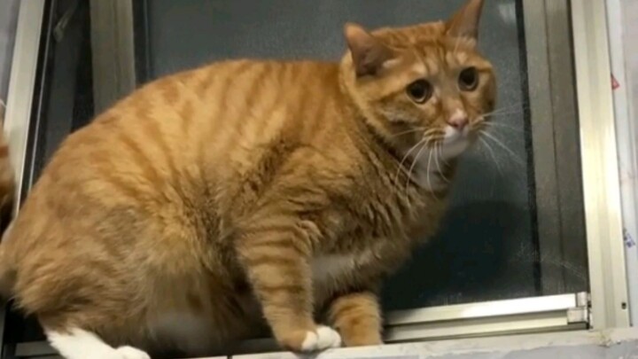 When it’s guilty, you’re the one who should be freaking out!