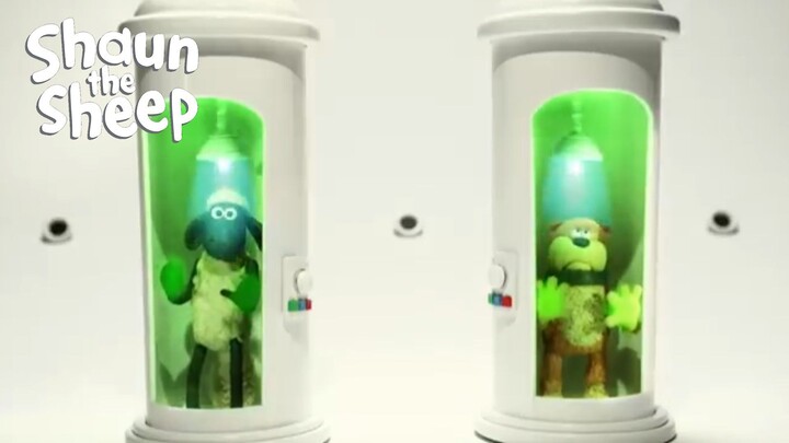 Shaun the Sheep | Cat Got Your Brain? - Cartoon Children