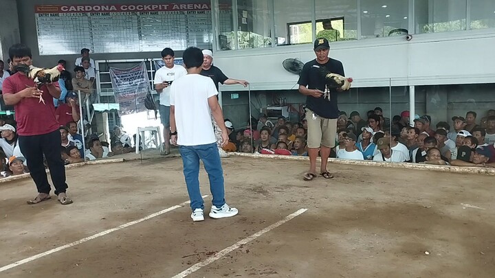 cardona cockpit loss