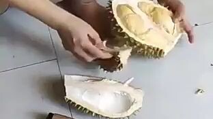 durian montong lezatnya jadi kepengen mencicipi