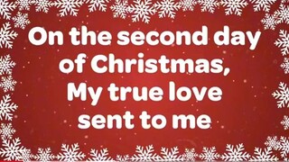 12 days of christmas