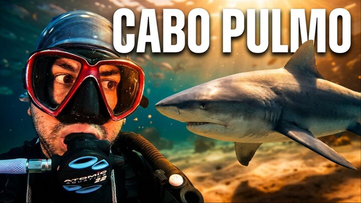 How Fishermen Saved Cabo Pulmo: Mexico’s Most Successful Marine Reserve