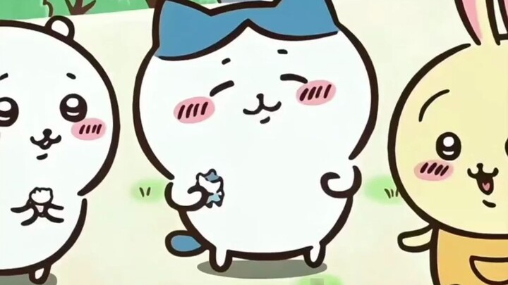 Kehidupan Xiaoba yang membingungkan. Mantra milkyin super kecil Xiaoba ~ Sangat lucu sehingga aku ti