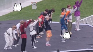 96line المبعثرة لكن المتناغمة (نسخة البروفة)