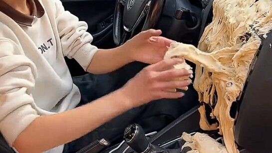 [Homo Sapiens TV] How Homo Sapiens Celebrates the Lunar New Year