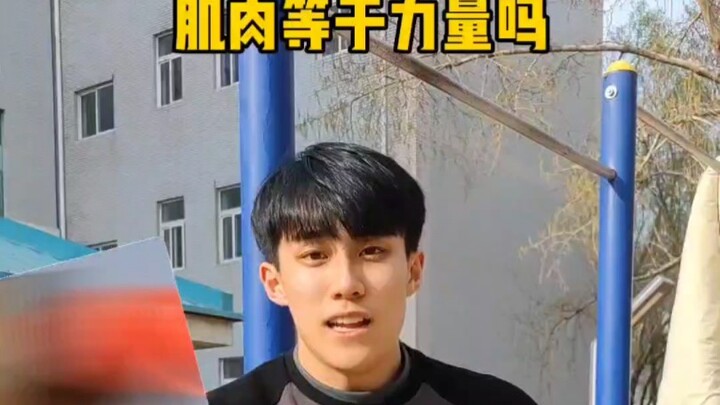 Does muscle really equal strength?