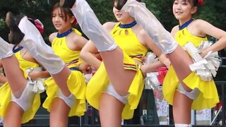 チアダンスNagoya まつり