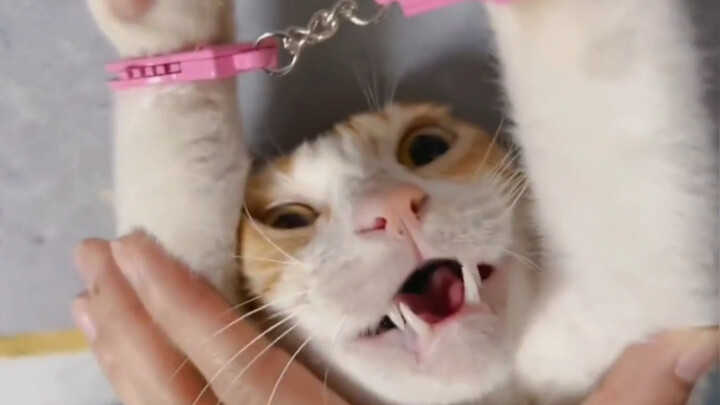 Manusia tidak boleh... setidaknya seharusnya tidak...