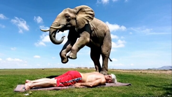 【Refill】【AI video】Step on the back♿️