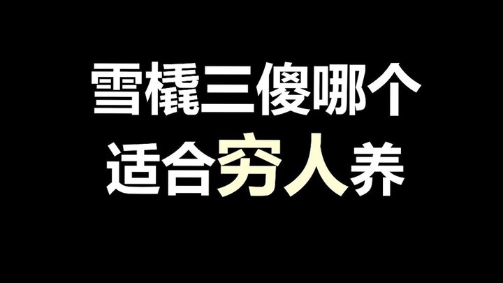 Fakta unik tentang hewan peliharaan: Dari tiga anjing kereta salju, yang mana yang cocok untuk orang