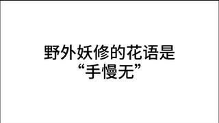 “手慢无”是妖修的花语