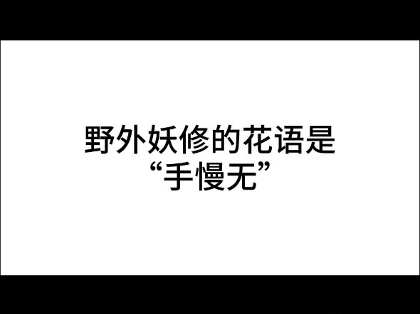 “手慢无”是妖修的花语