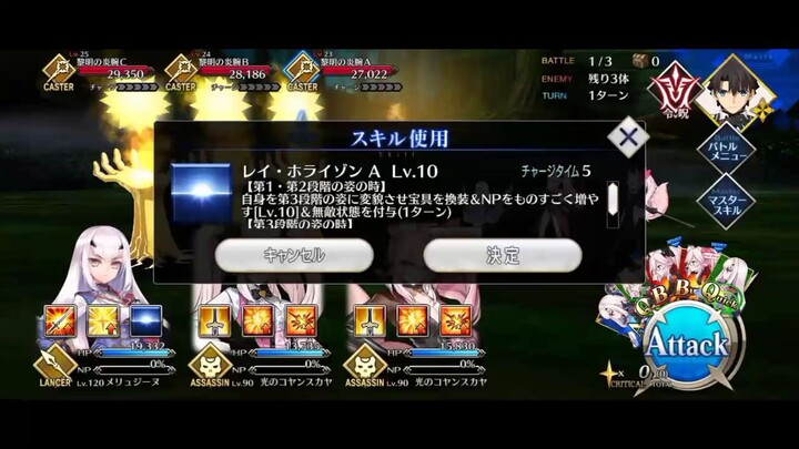 FGO JP 3T MELUSINE SETUP