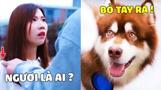 Ngáo Gia Gia | Gia Gia Bảo Vệ Mẹ Trước Những Kẻ Biến Thái... 😎Gâu Đần Official