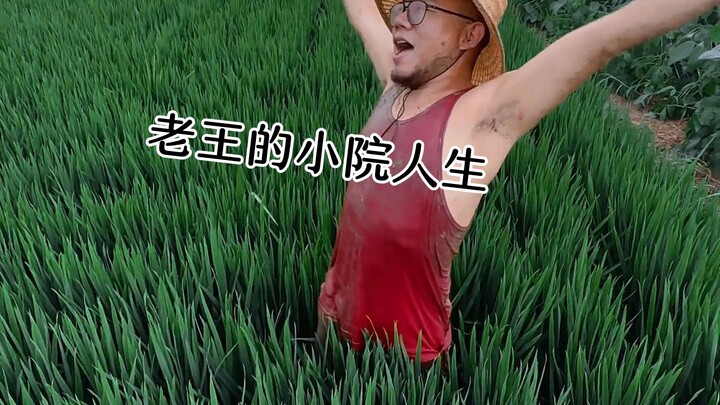 بعد أن عشت نصف عام في فناء ريفي، أدركت أخيرًا ما معنى العيش من أجل ذاتي.