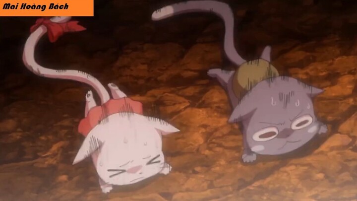 Hội Pháp Sư - Fairy Tail tập 81 #anime