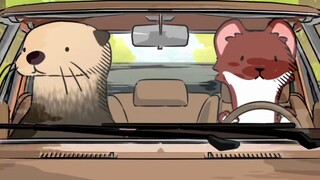 Rats know the way—naturalhabitok